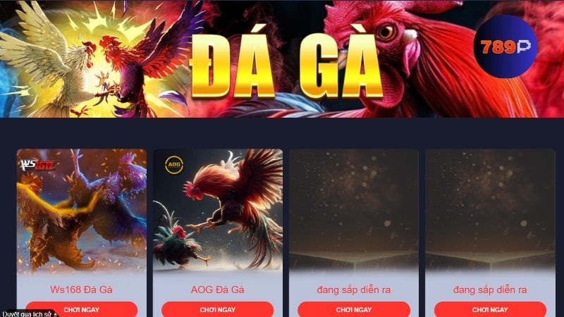 Dự đoán chiến kê giành chiến thắng dễ dàng