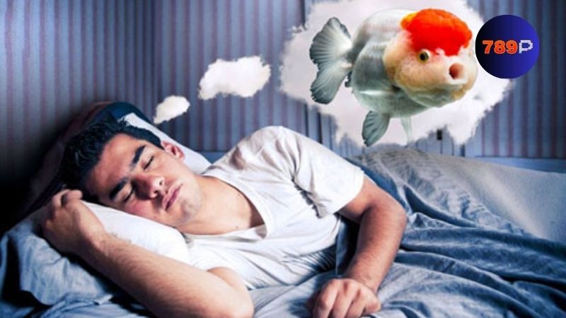 Nằm mơ thấy cá